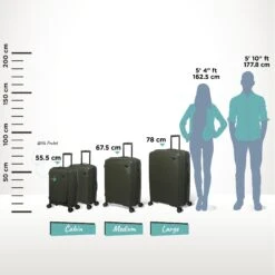 IT Luggage Spontaneous - Large (Olive Night) 25 IT Luggage Spontaneous - Large (Olive Night) -Luggage World Shop Spontaneous Full set olive Relative Size