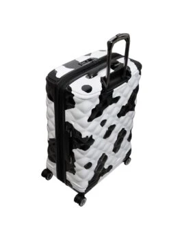 It Luggage Indulging Moo Print Cabin Suitcase -Luggage World Shop VQ1I8 SQ3 0000000270 PRINT SLd